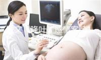散文《降叶》感情案牍1000句感情短句净净治愈